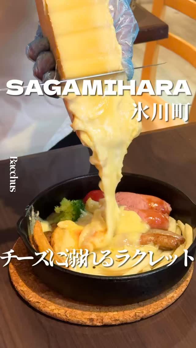 Bacchusの紹介動画