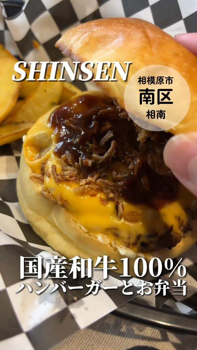 SHINSENの紹介動画