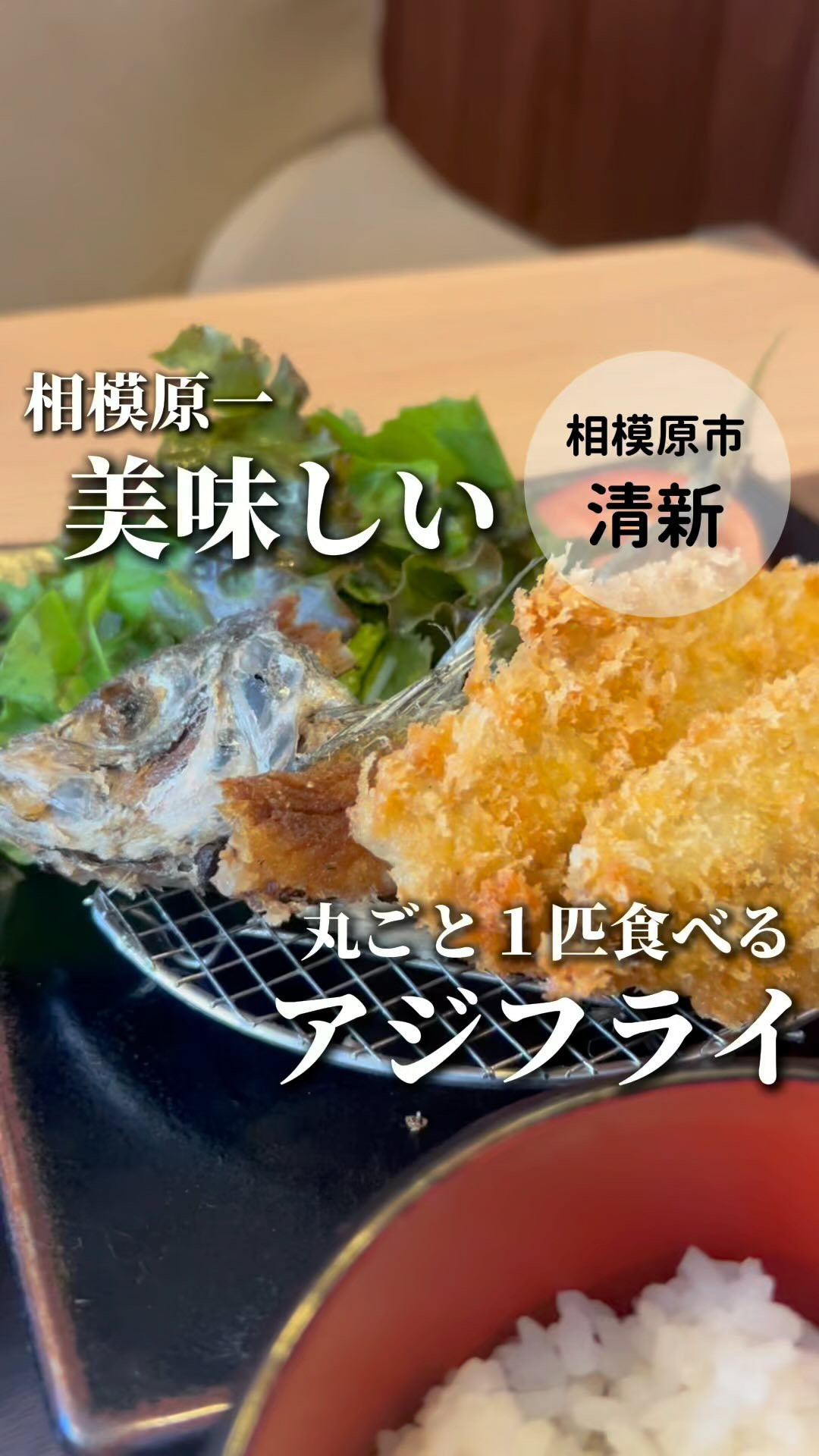 海鮮Cafe&Bar GRAVEL グラベルの紹介動画