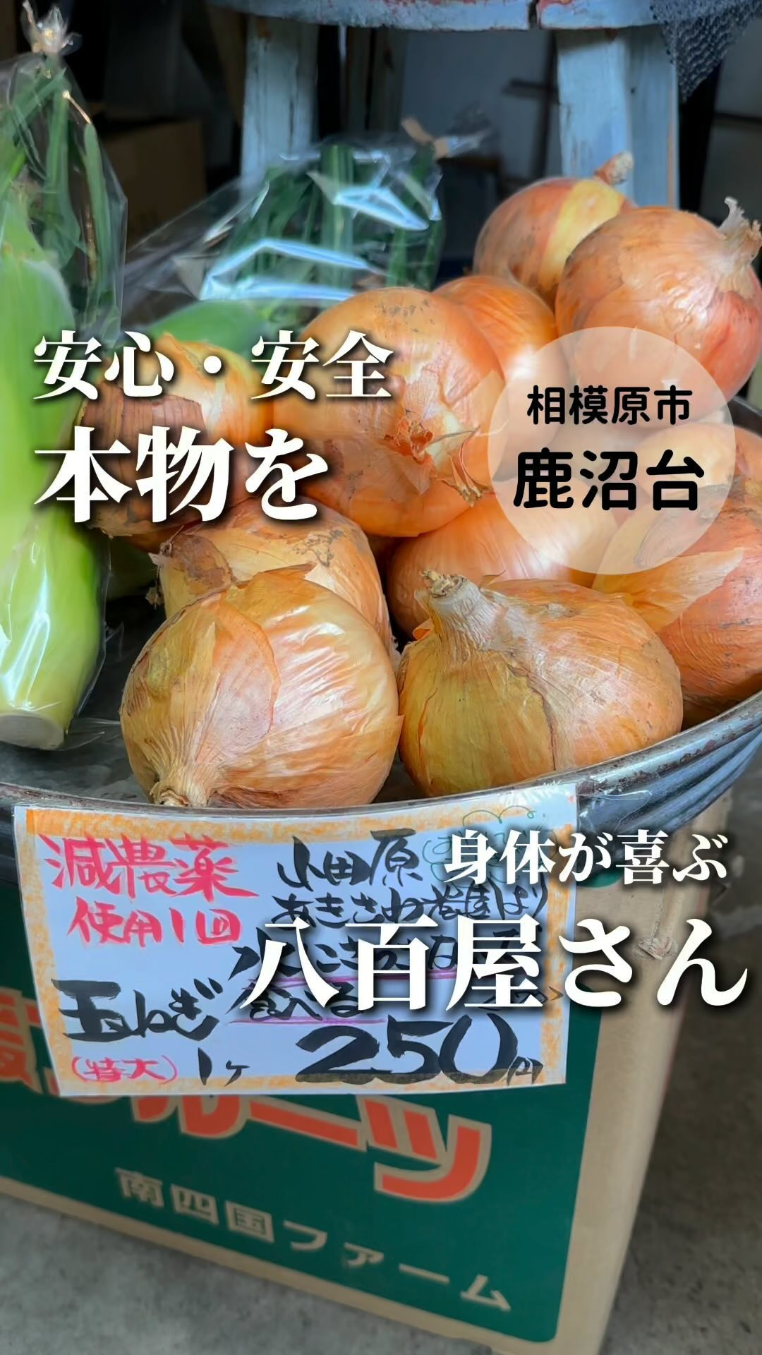 ベジフルフラワートゥーシェ八百屋の紹介動画