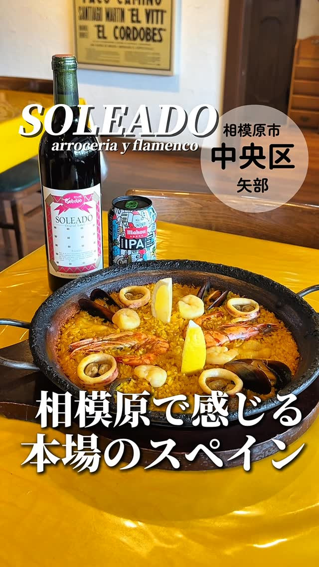 SOLEADOの紹介動画