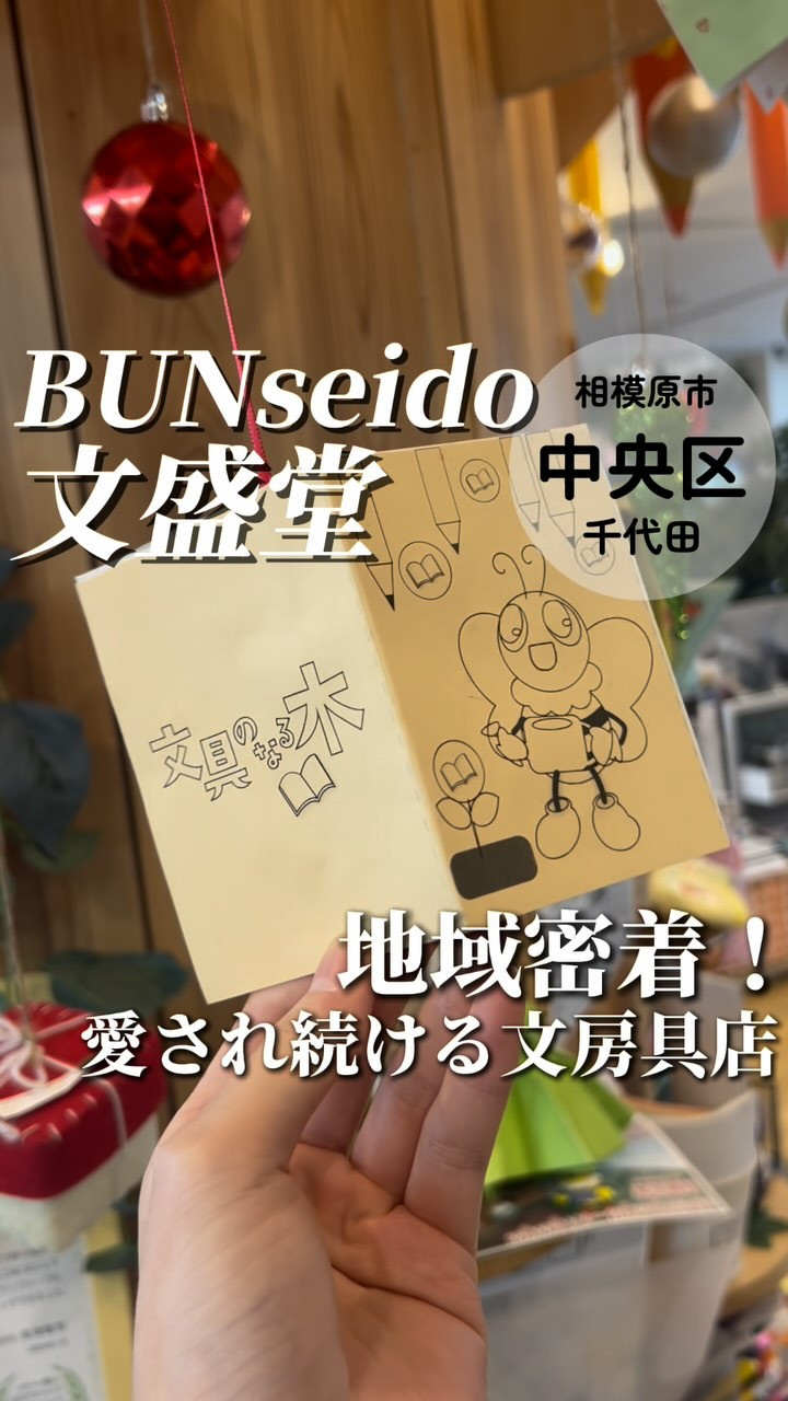 BUNseidoの紹介動画